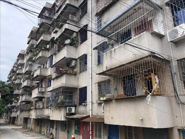 1535073431303027.jpg 91458783036272380.jpg