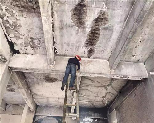 1536370982241393.jpg mmexport1501060402835.jpg