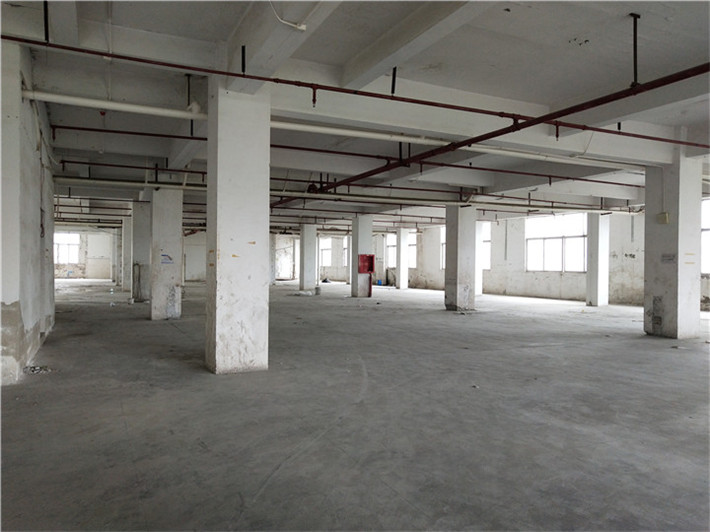 1536805322833145.jpg IMG_20180815_145522.jpg